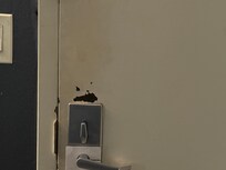 Sketchy door