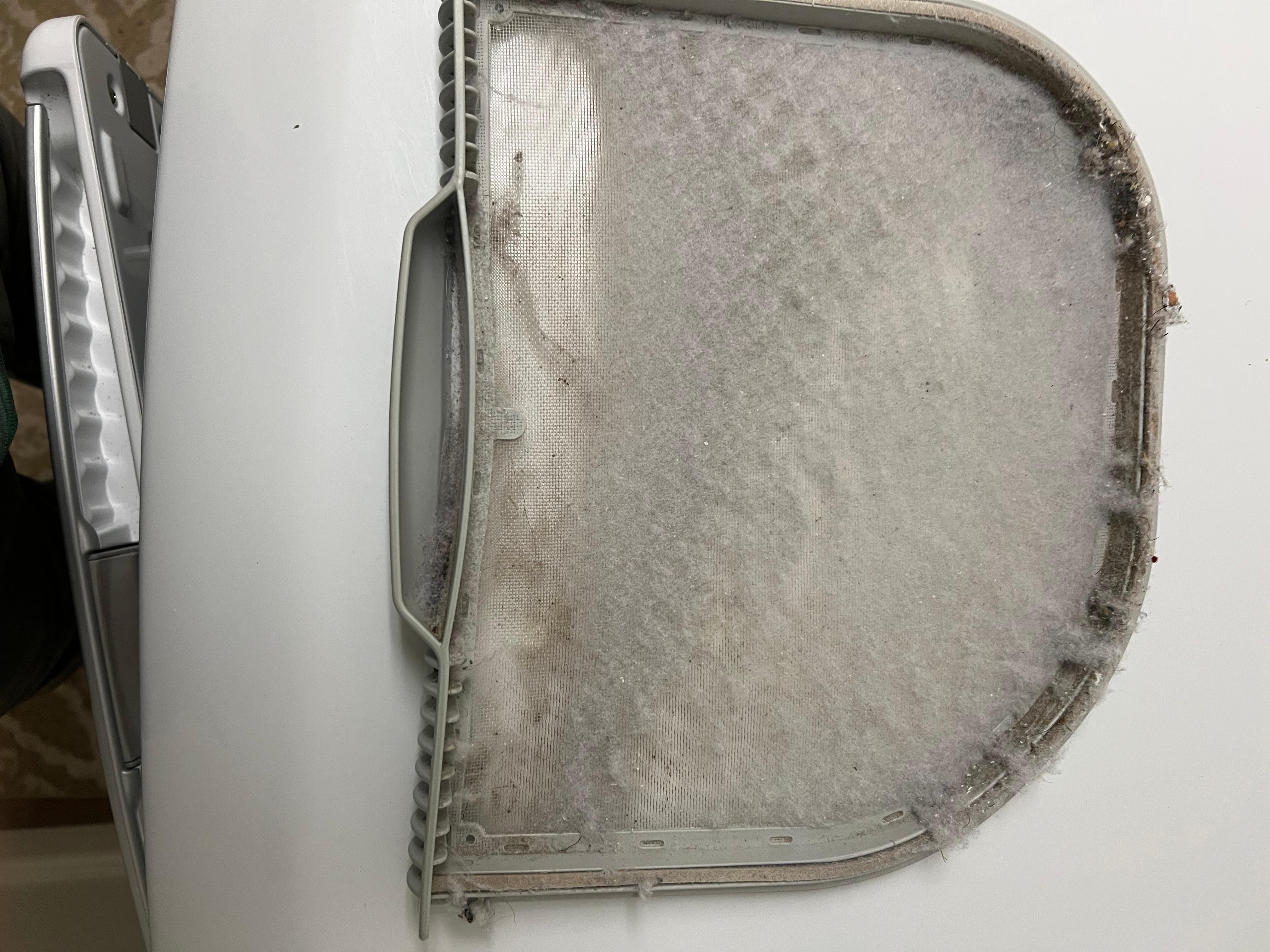 Dryer vent lint