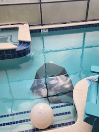 Woke up to find a large part of the screen at the bottom of the pool because of the excessive neglect and disrepair in the home.