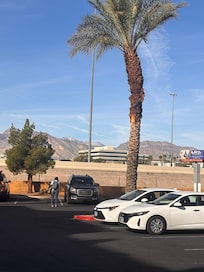 Snow and palm Trees all in same picture from hotel lot