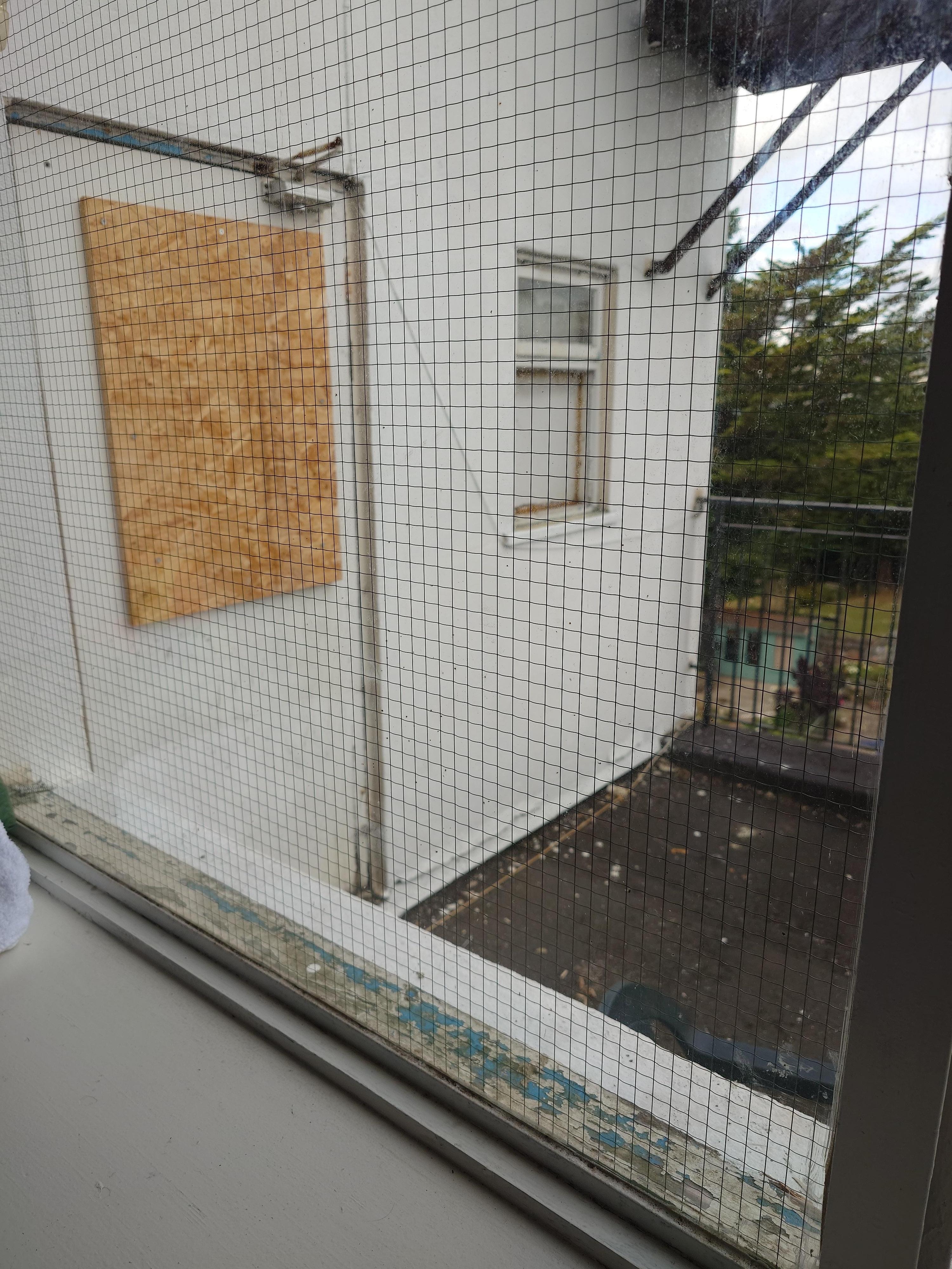 View from the room