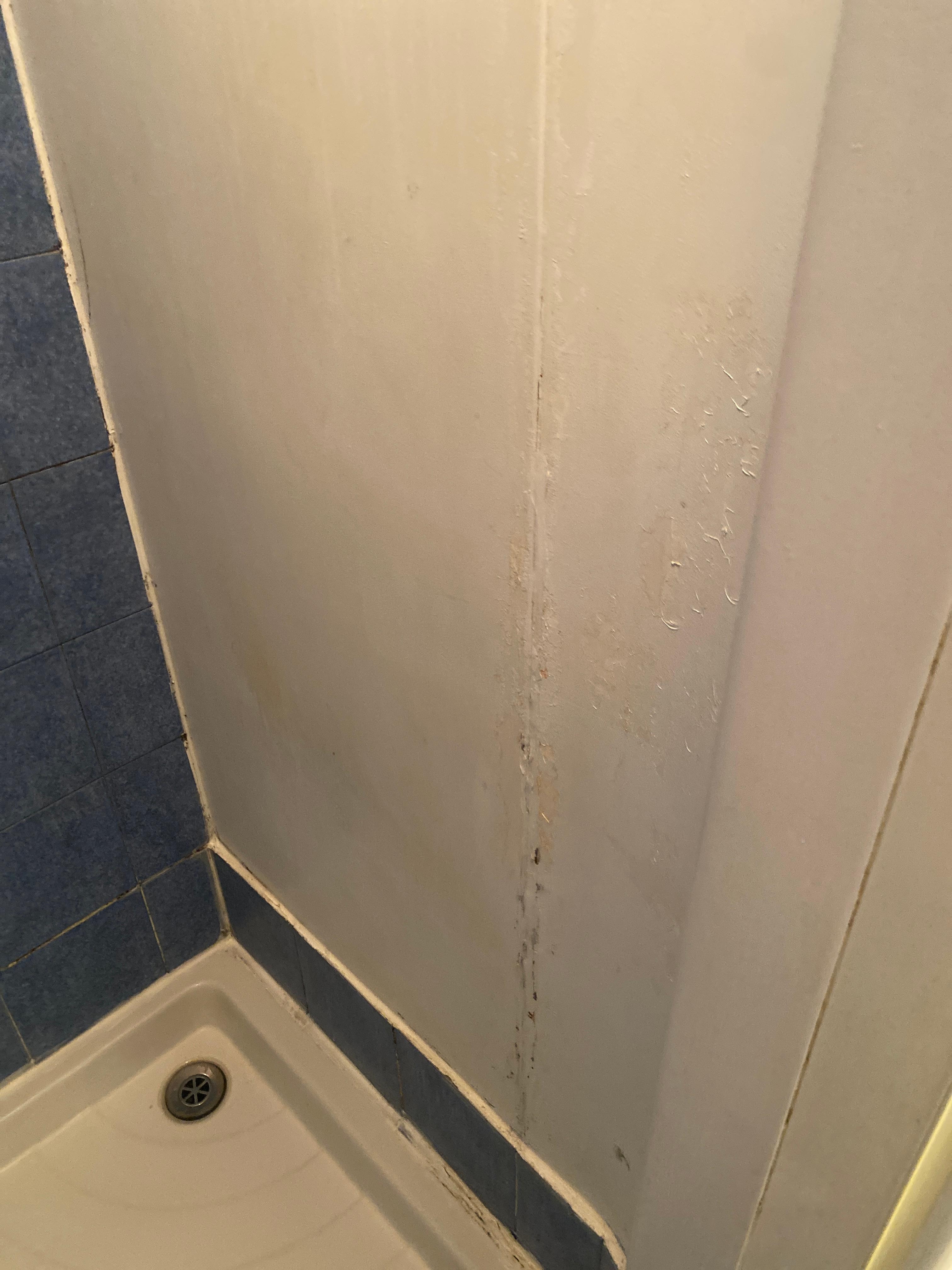 Shower has black mold