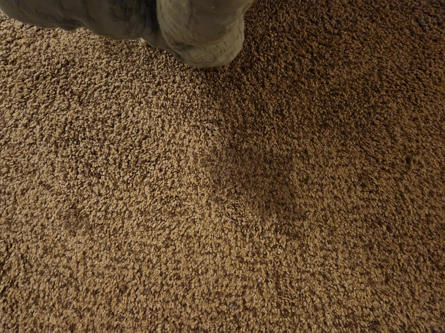 old, dirty rug