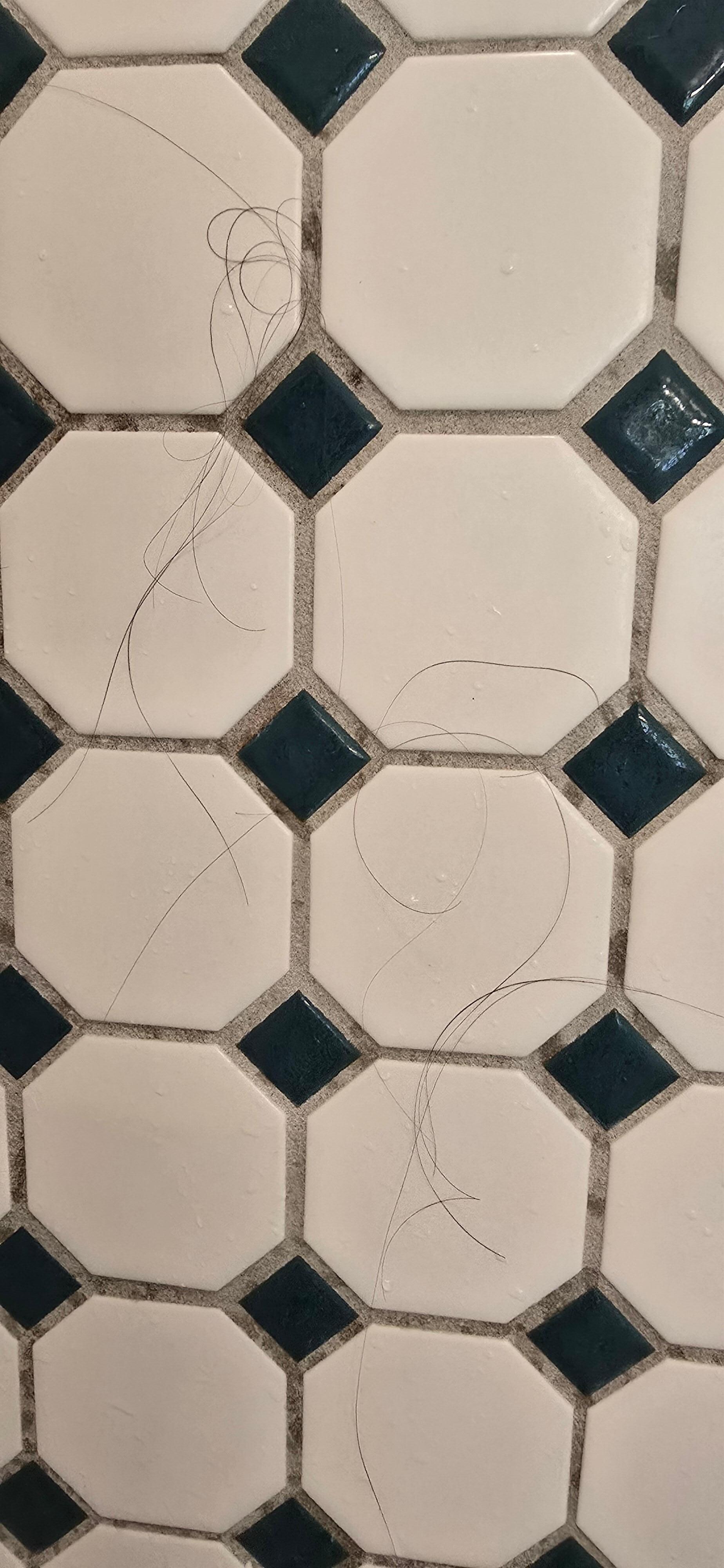 Hairs all over wall. This close up