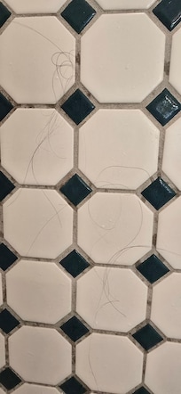 Hairs all over wall. This close up