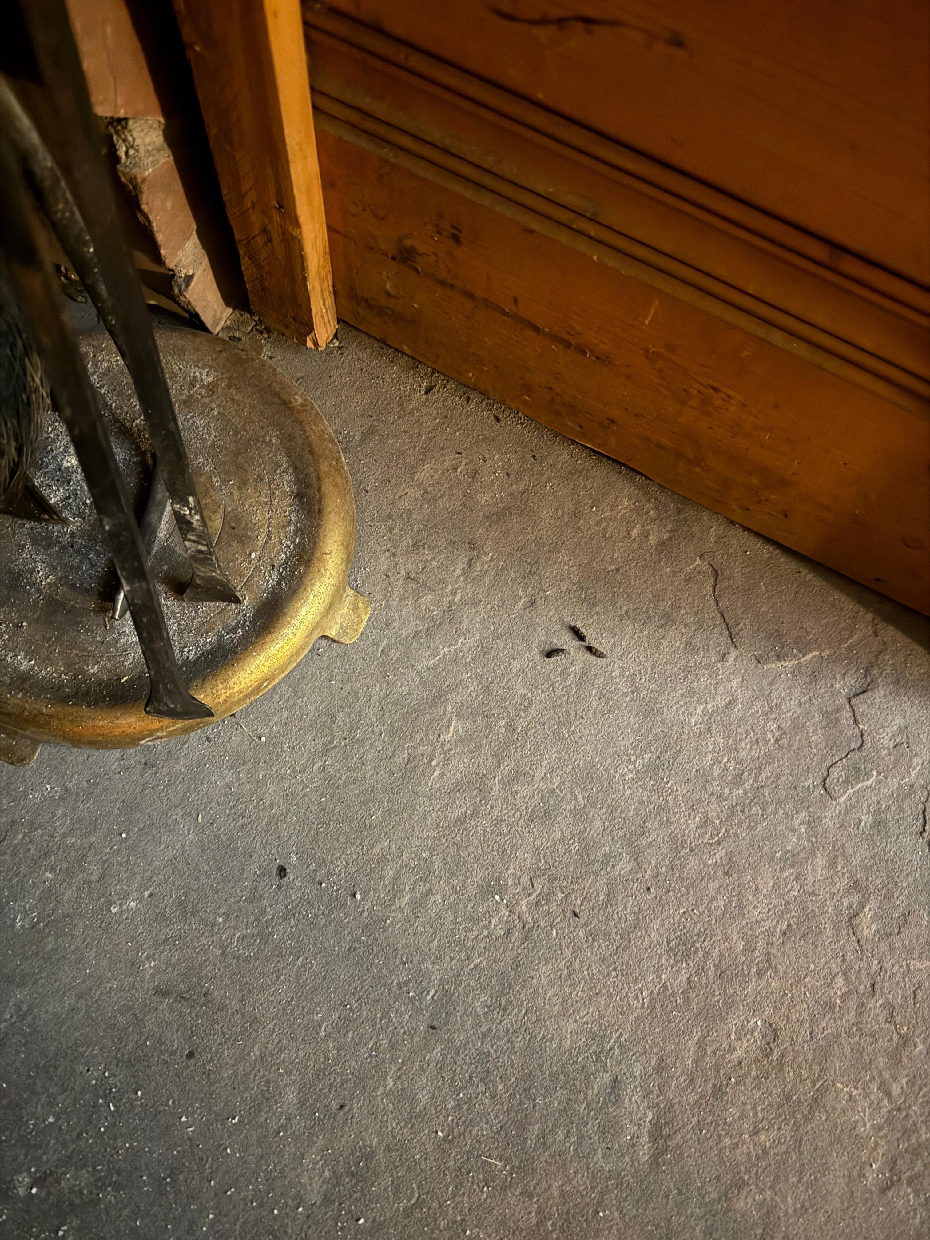 This is the fireplace. Mouse poop and ash. 