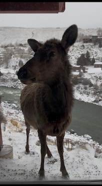 We had a visitor 😊