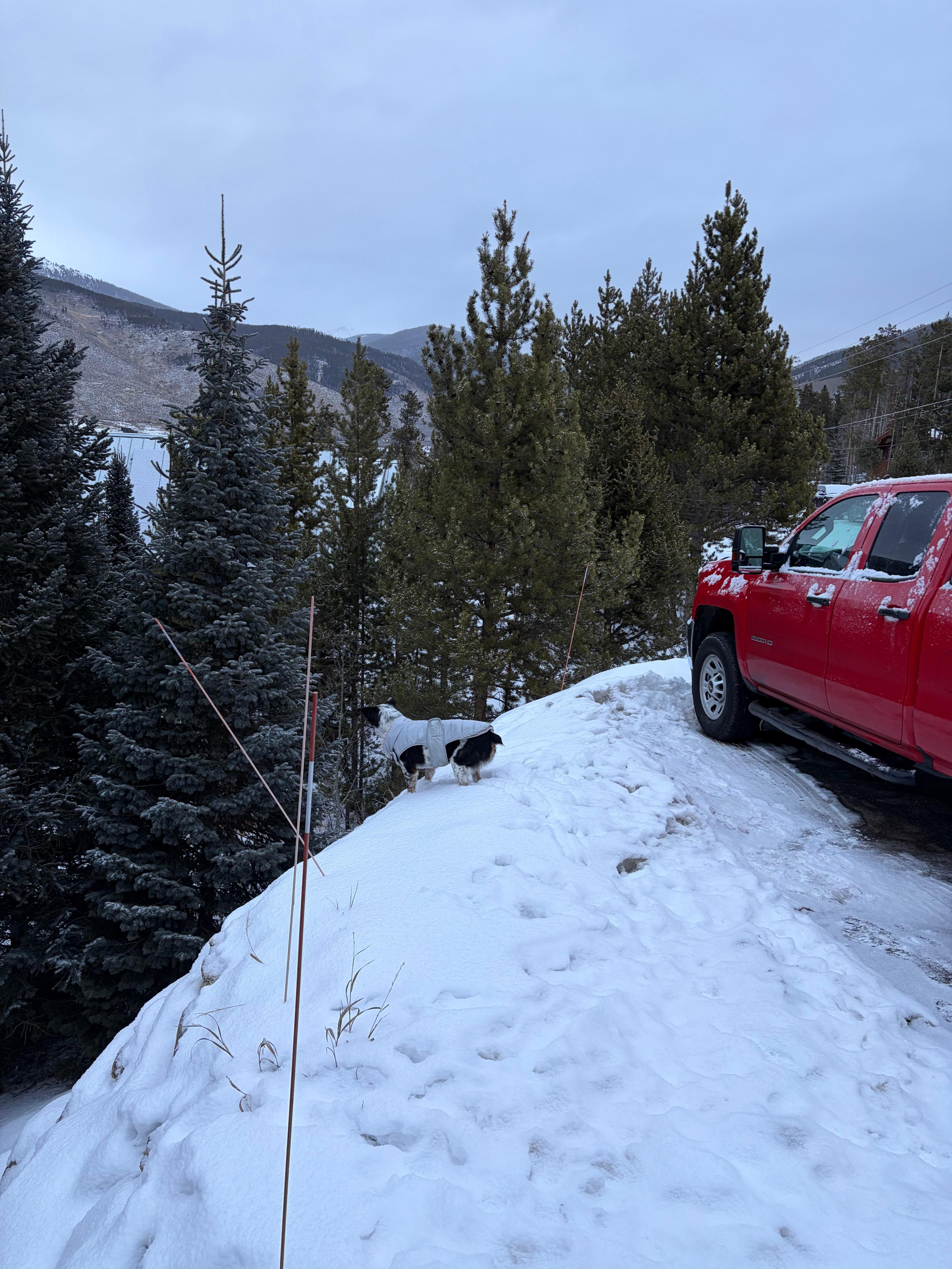 Parking easily fit our truck & SUV.