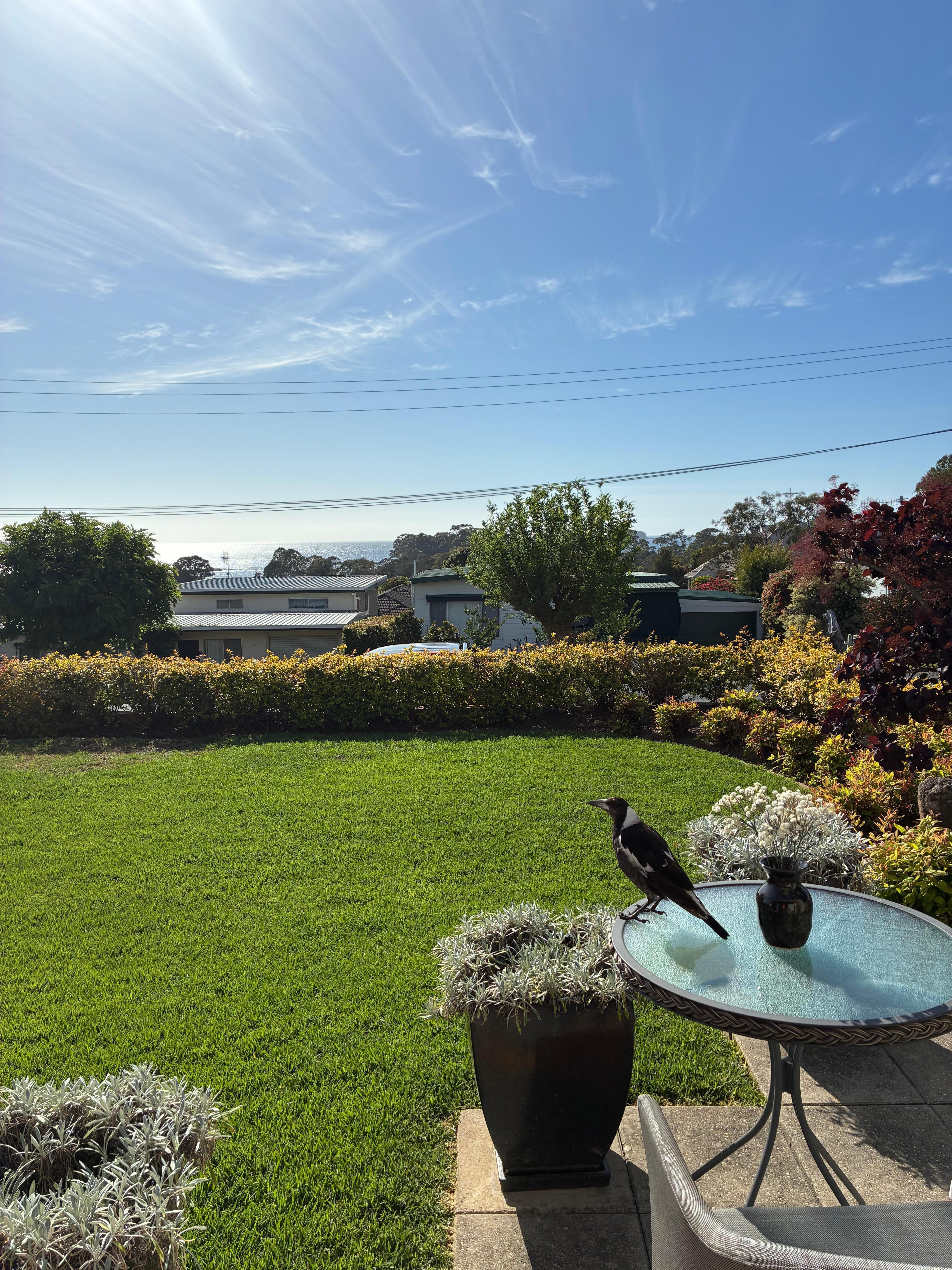 Walking out to this both mornings was instantly relaxing!