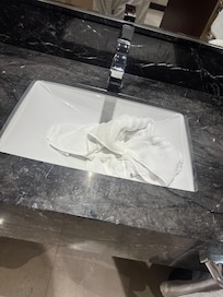 throwing the carpet in the sink!!!!
After the daily cleaning