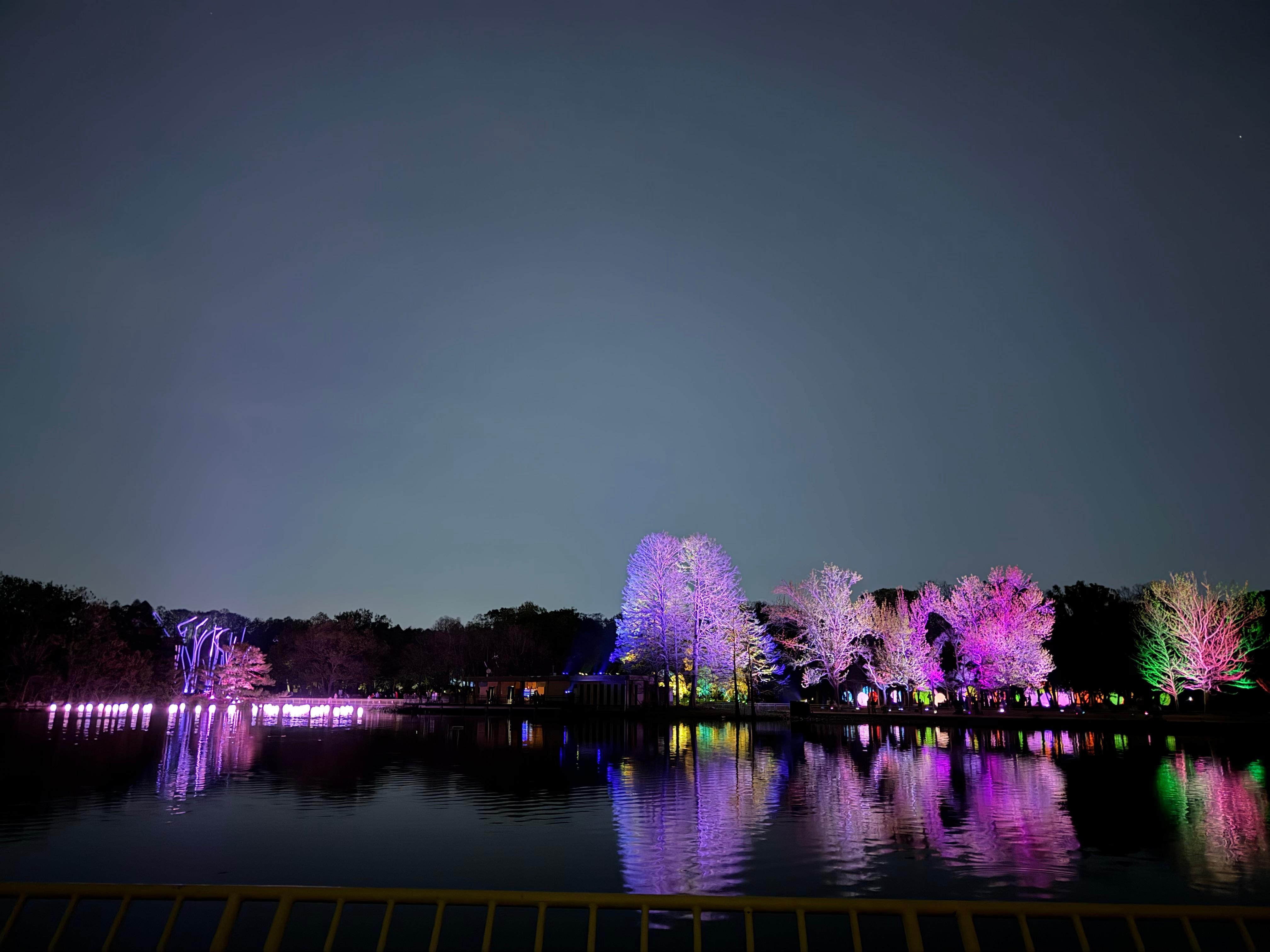 Team lab botanical garden