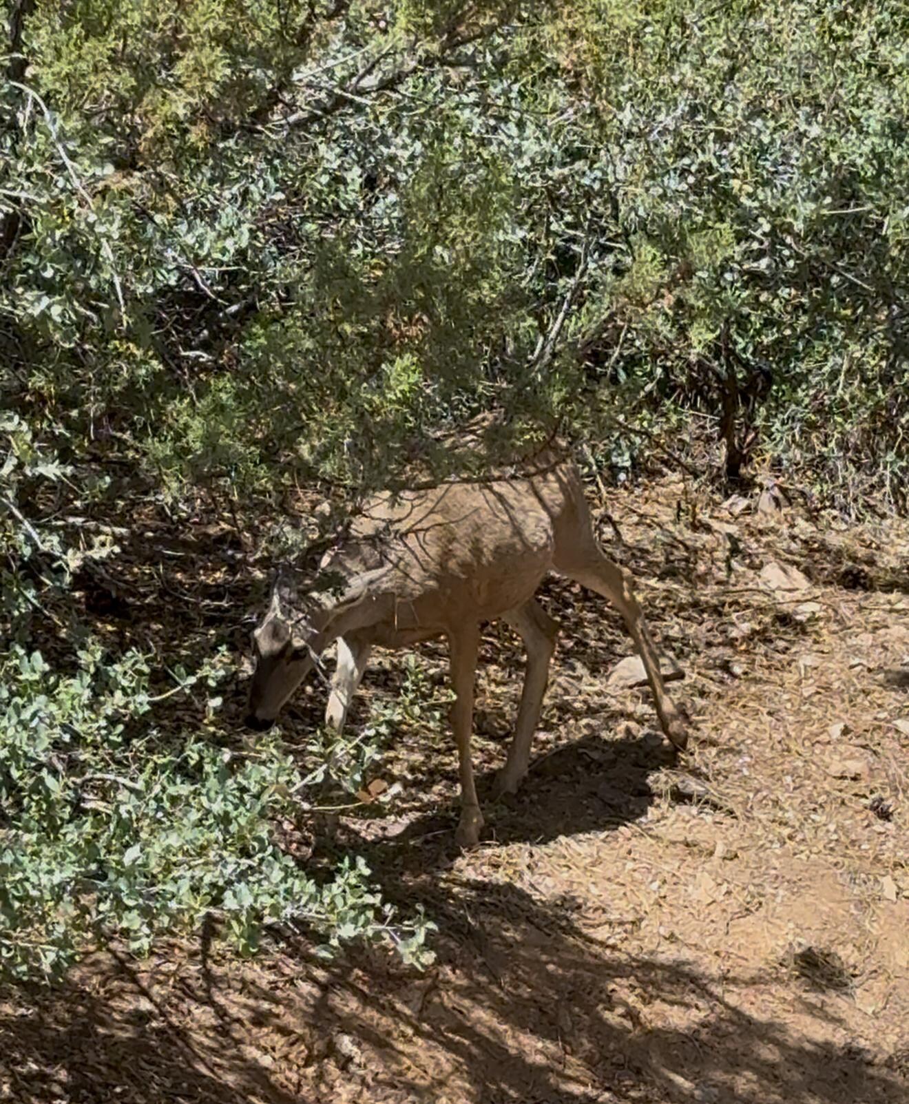 Around 10:30am in the backyard area 