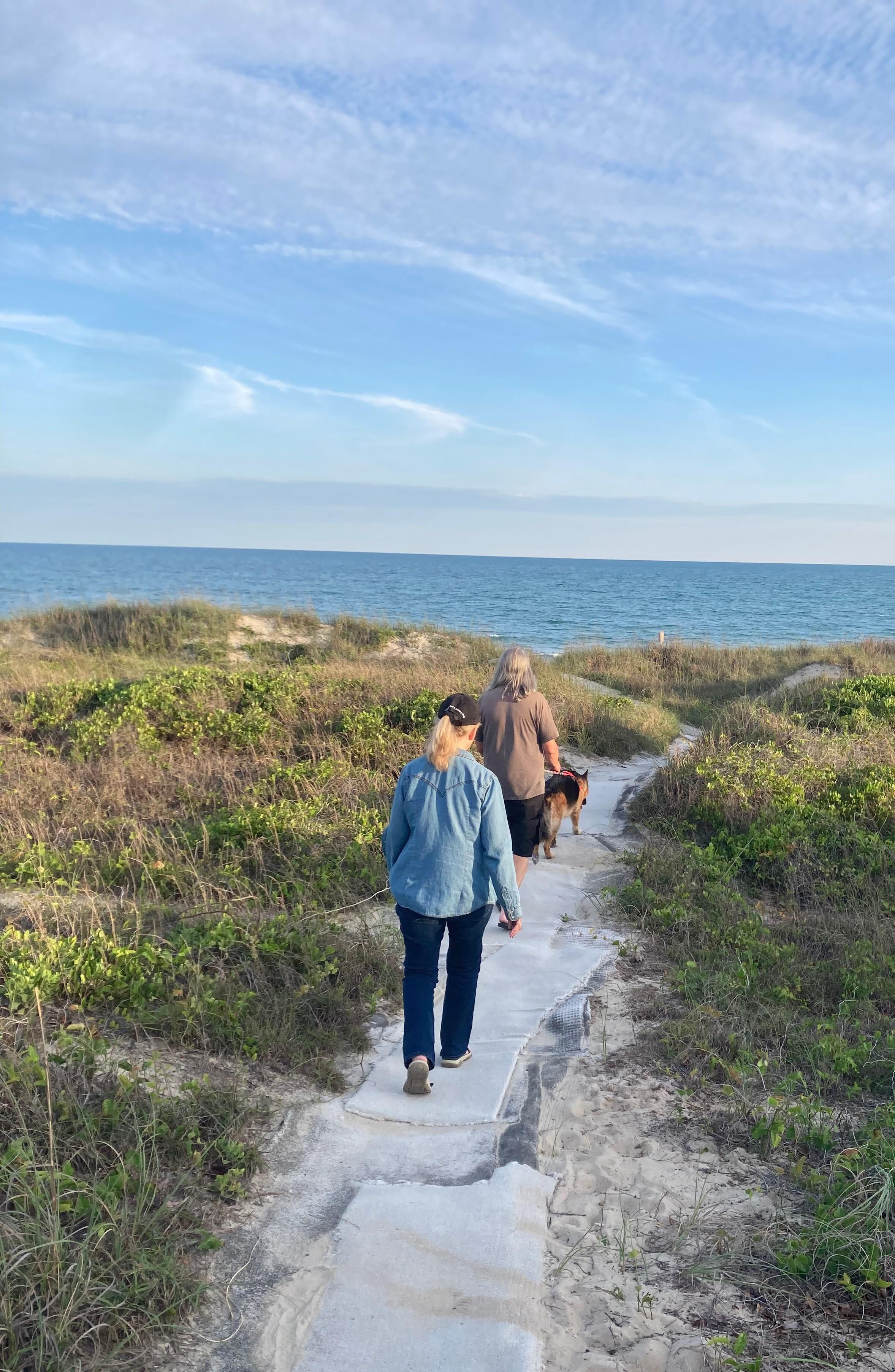Part of the walk to the beach