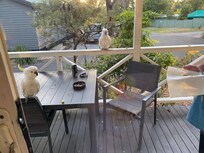 Friendly birds too