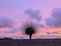 Foto :Blick aus dem hinteren Fenster