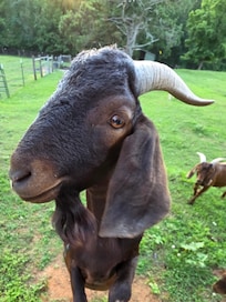 My new friend