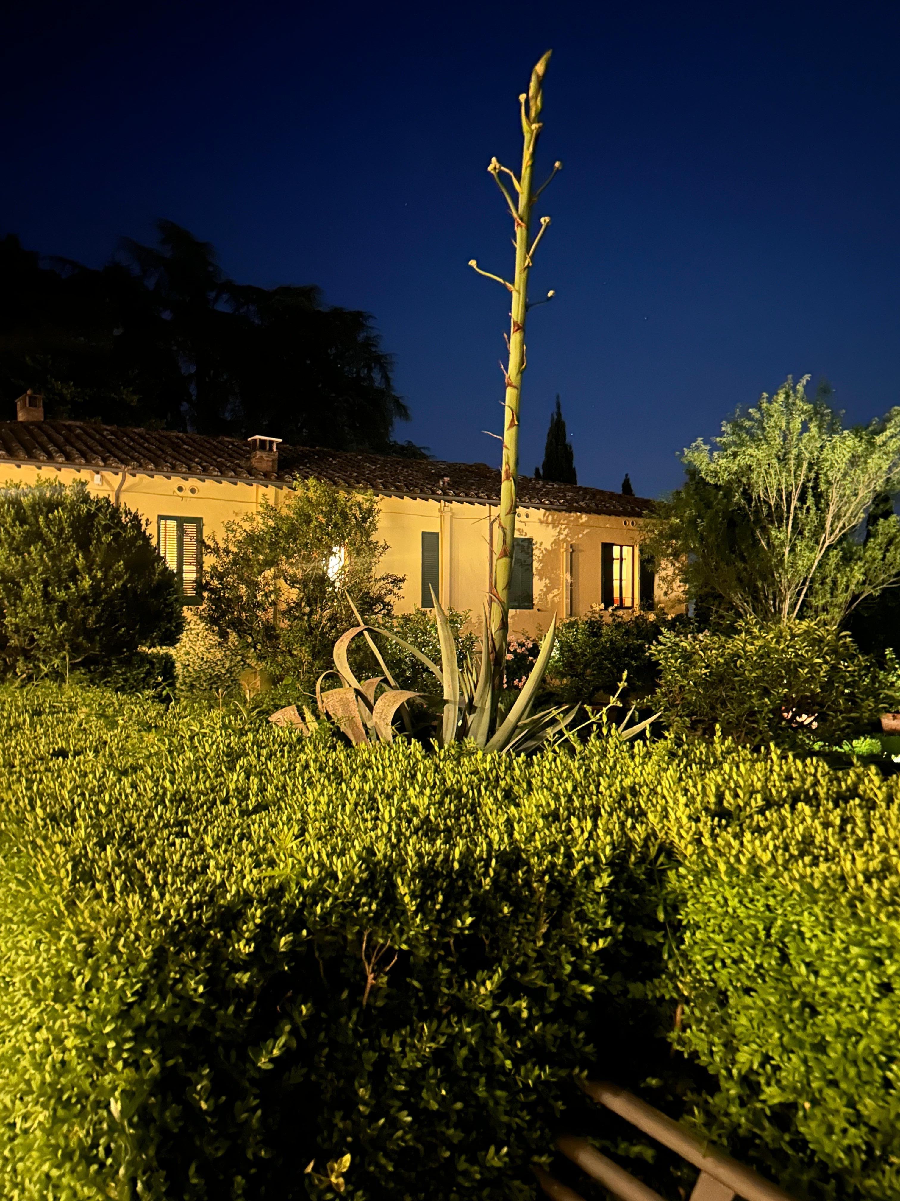 Beautiful property grounds and tranquil