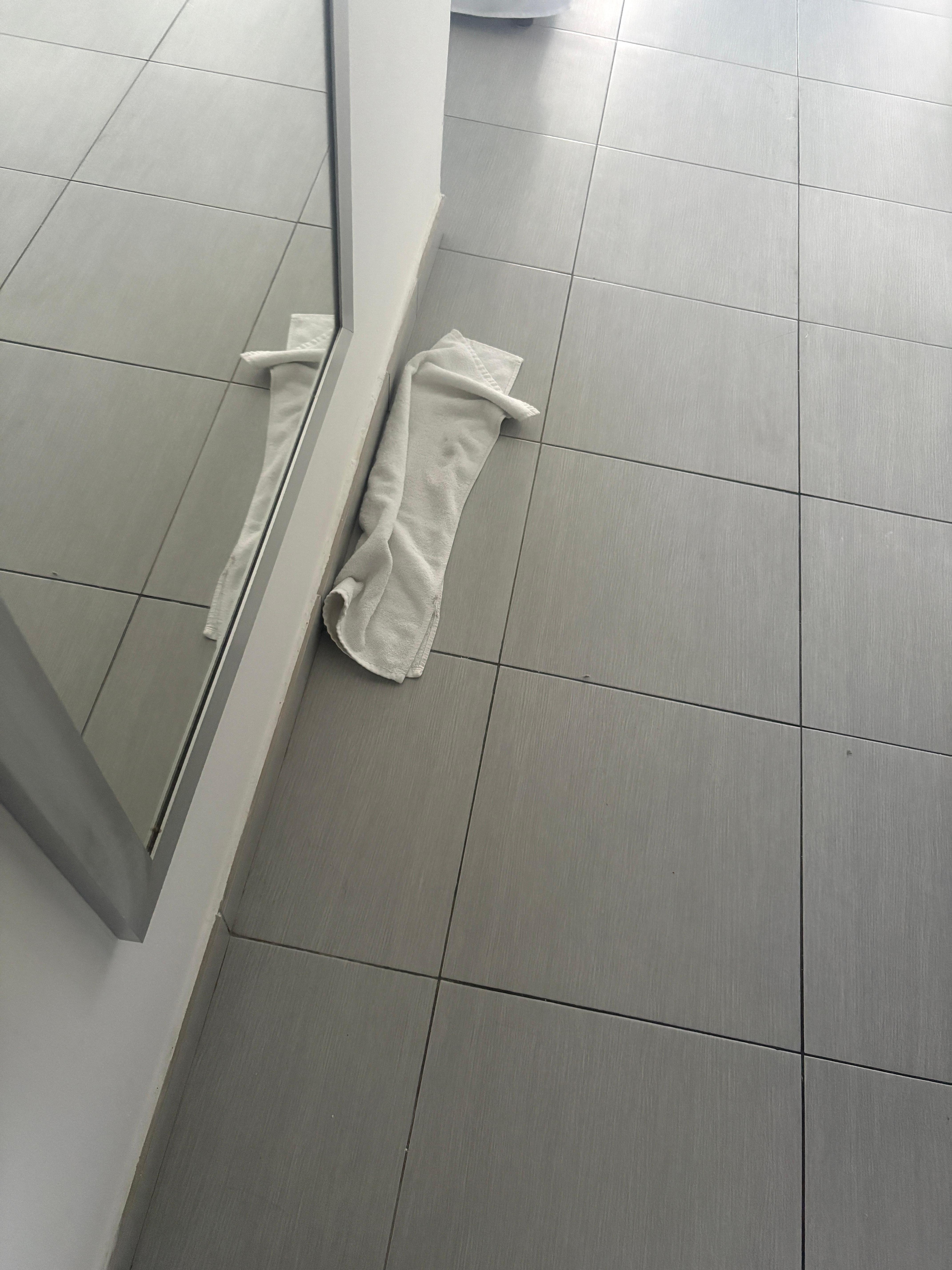 Found on floor when checked in 