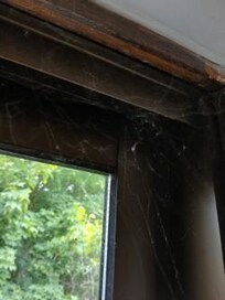 lots of cob webs on the inside of the windows