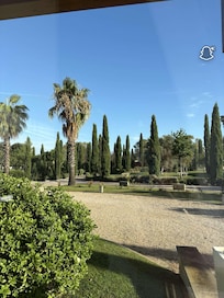 Jardin magnifique