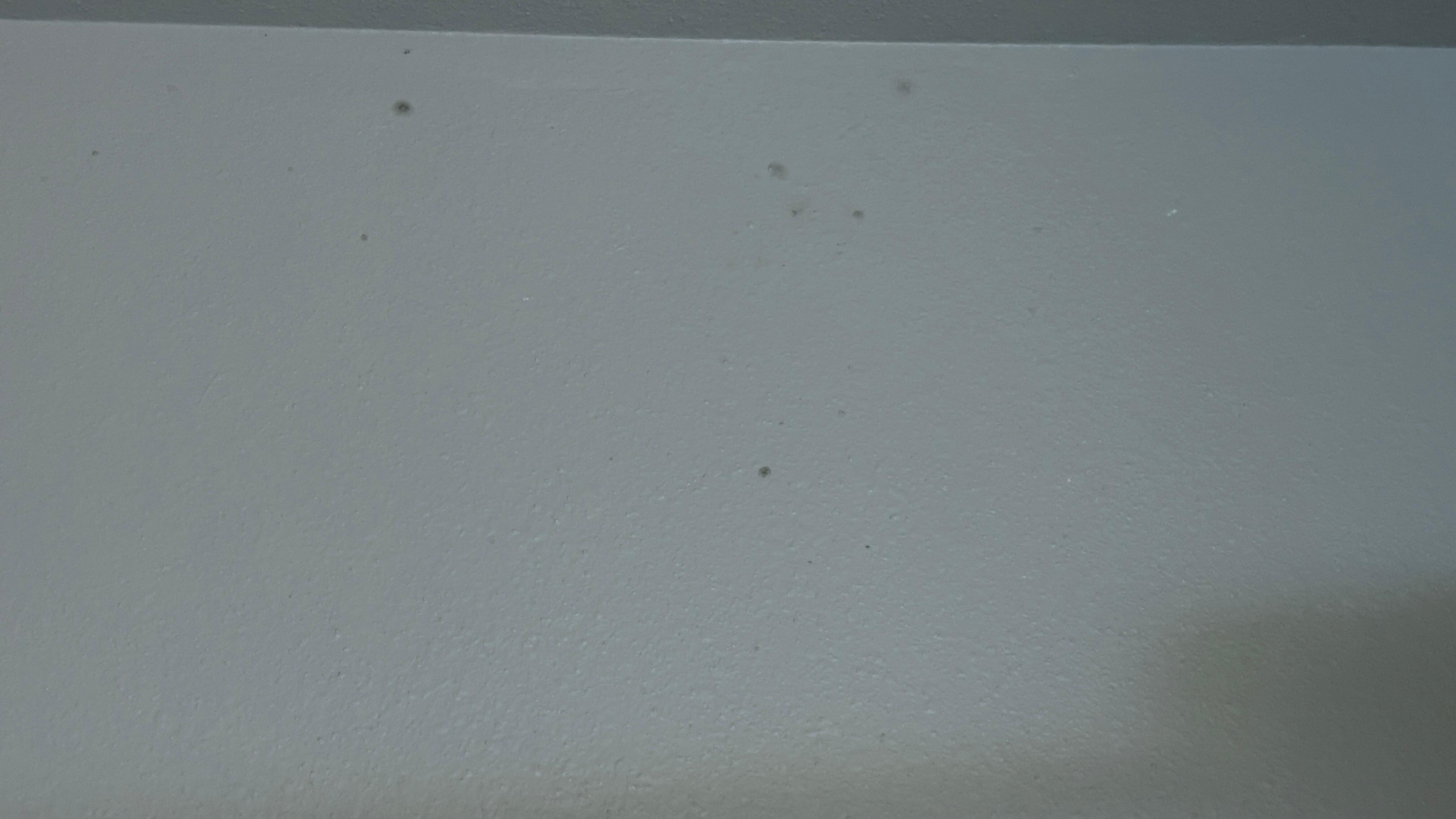 Mold