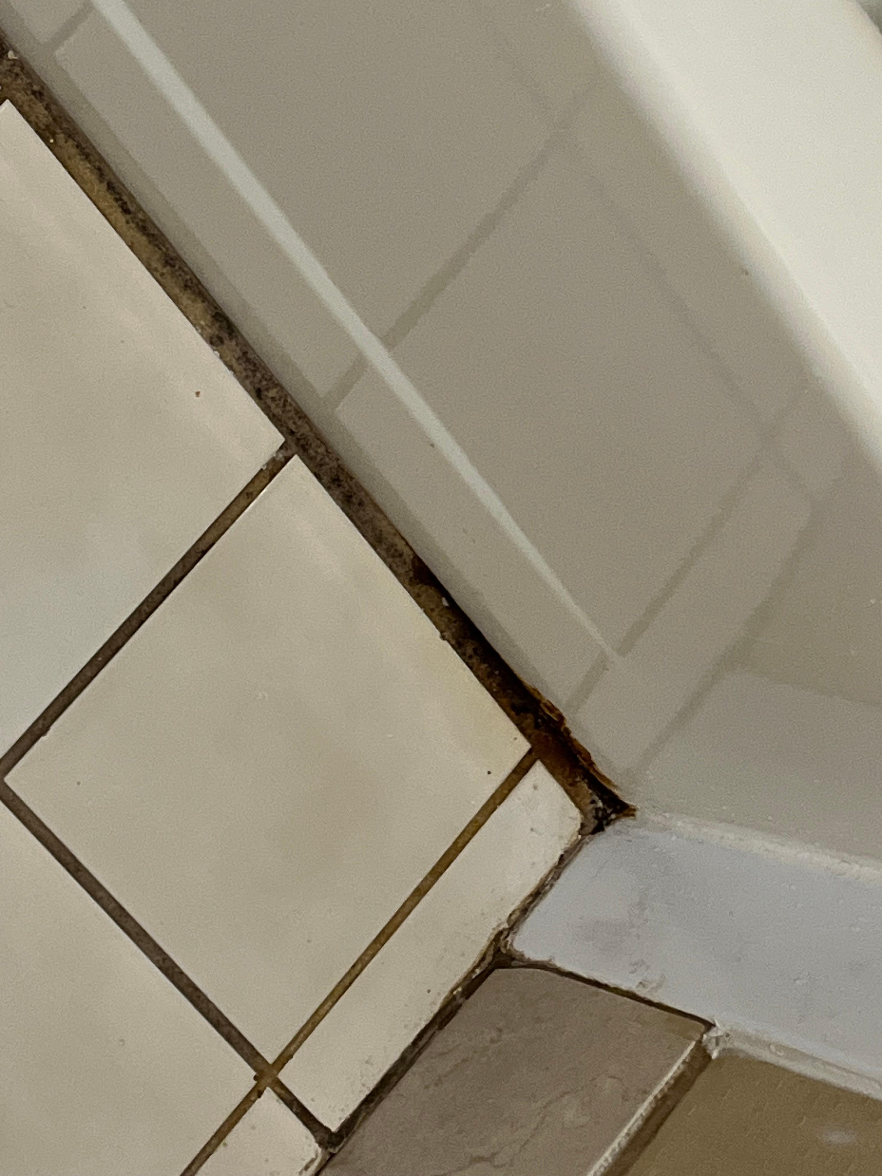 mold/mildew in bathroom