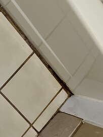 mold/mildew in bathroom
