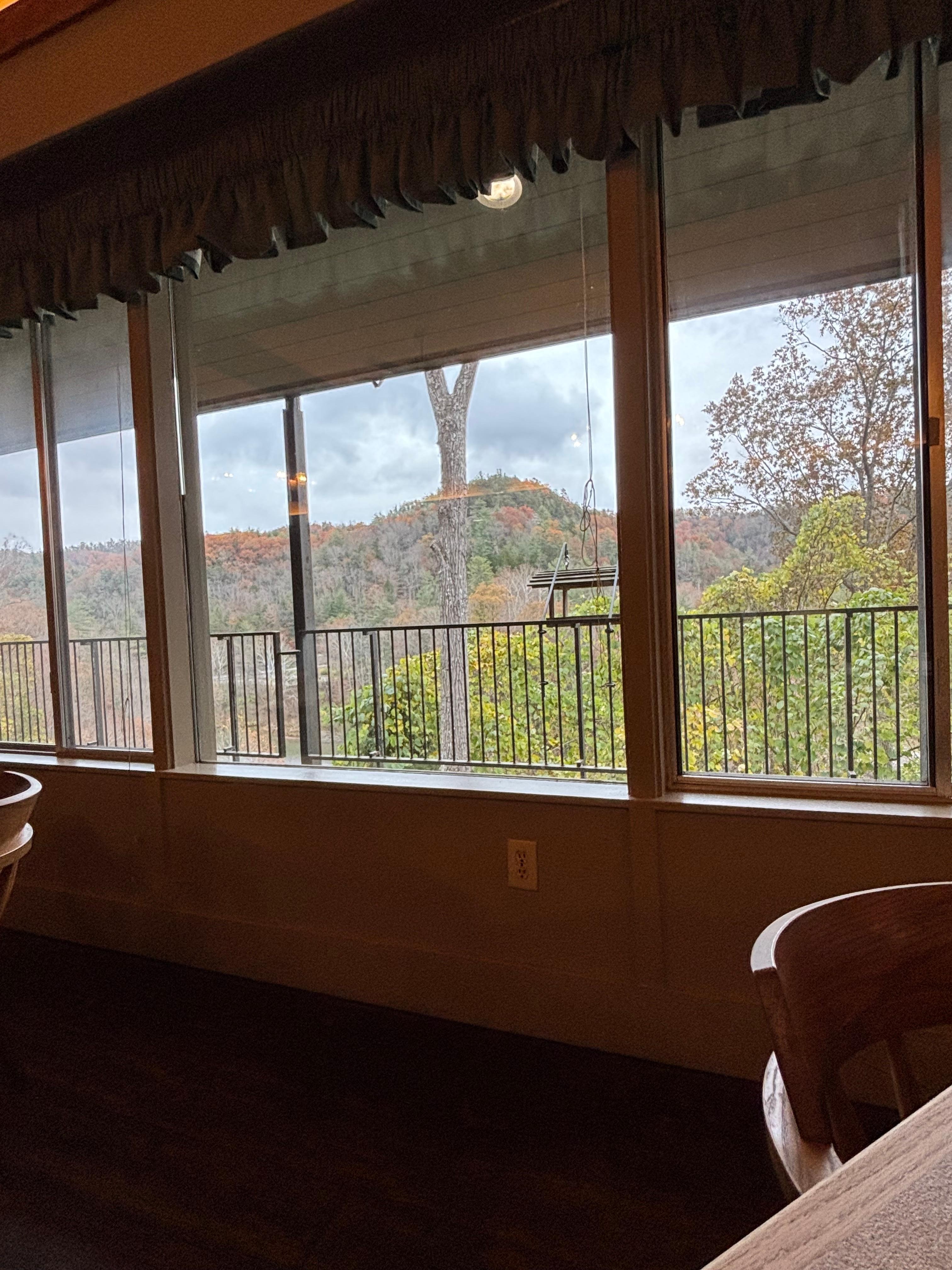 View from dining area.   