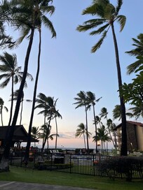 Evening view of the lanai from our patio.