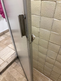 Mold in the shower door