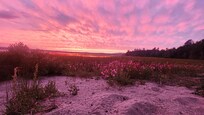 Sunset over Spectacle Pond