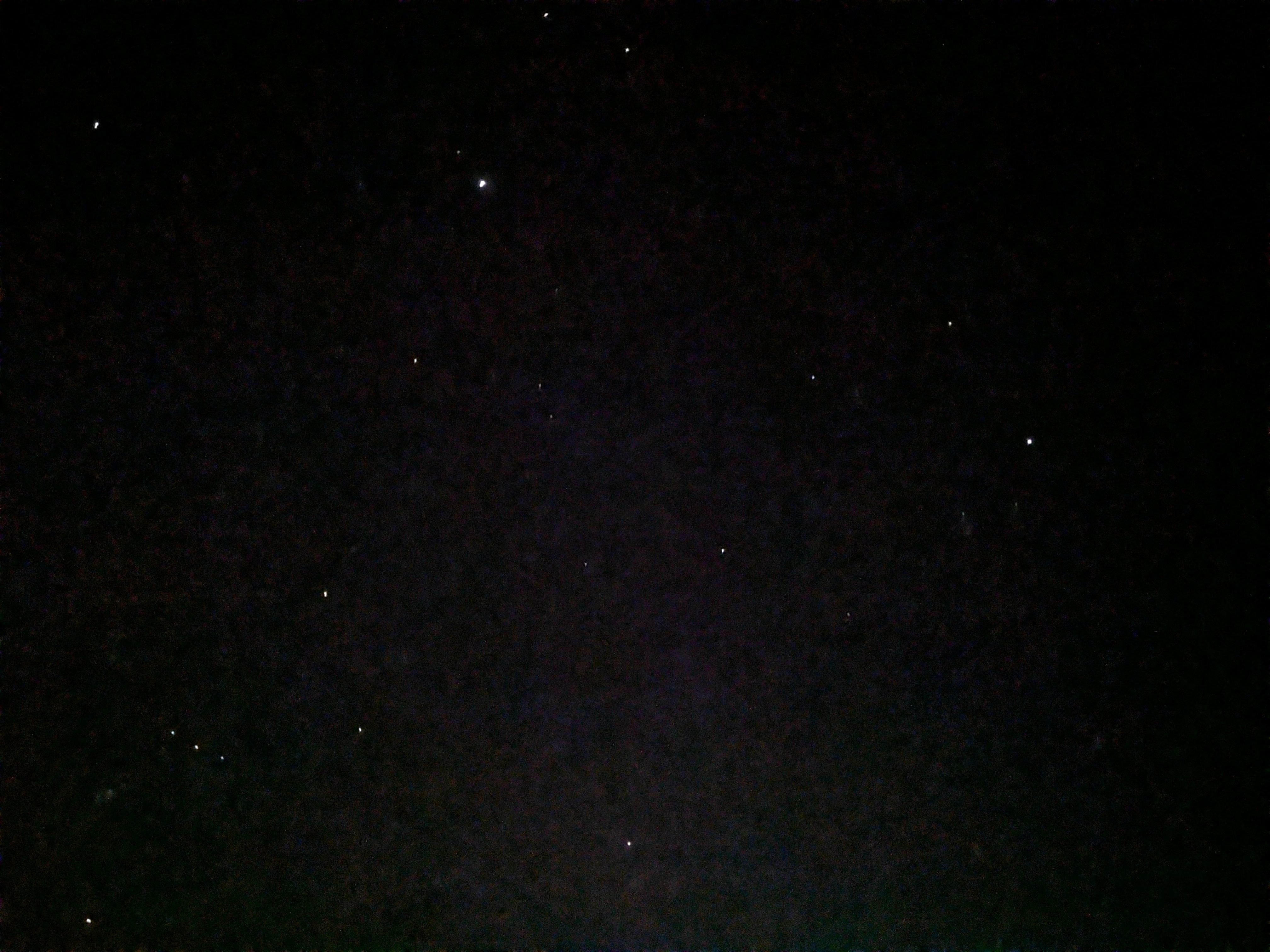 My Pixel 6 camera did its best, poor thing. Hundreds of them twinkling just for us.