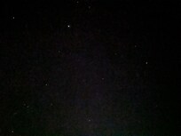 My Pixel 6 camera did its best, poor thing. Hundreds of them twinkling just for us.