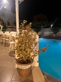 Pool bar at night