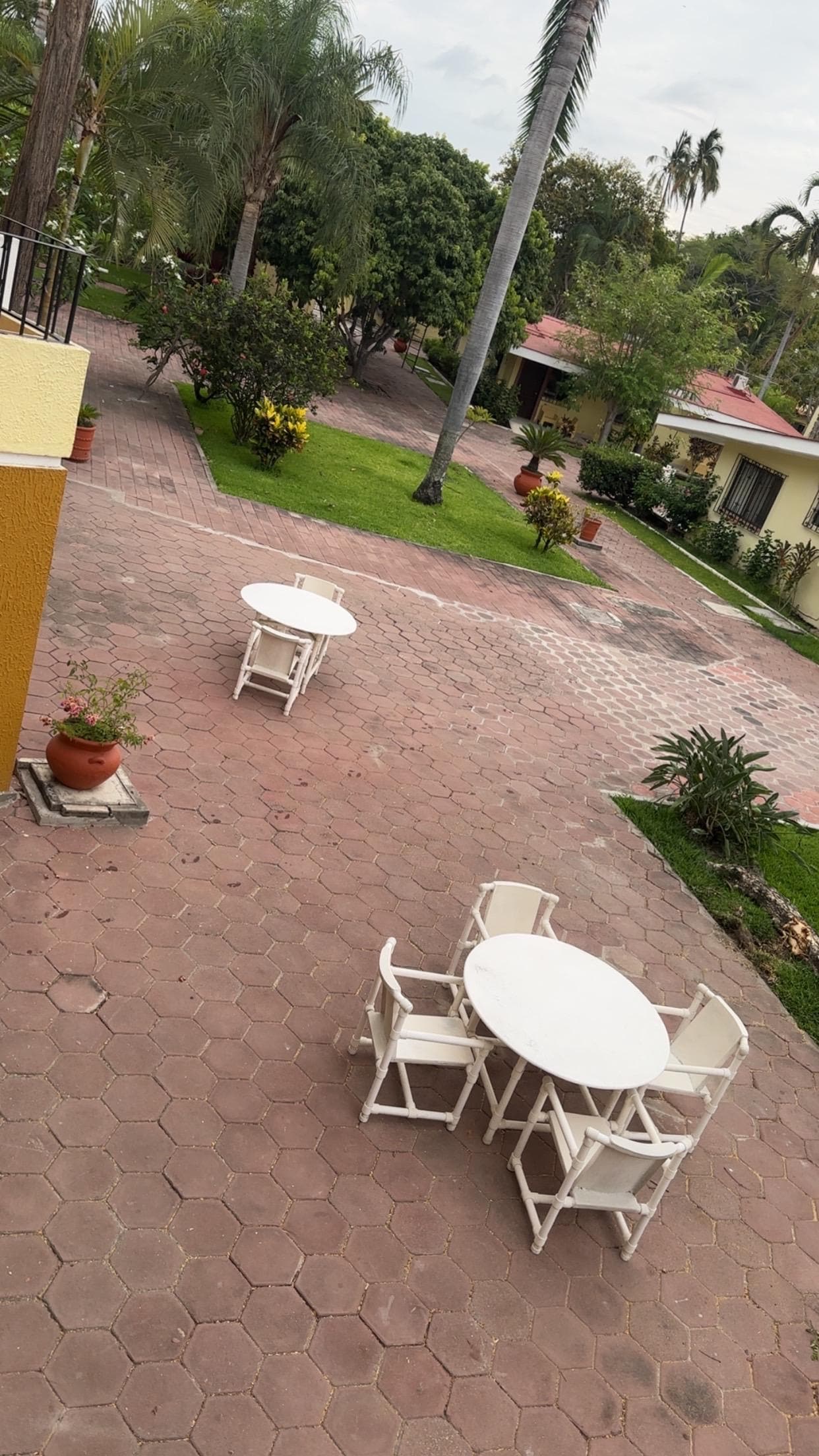 Grounds/ garden