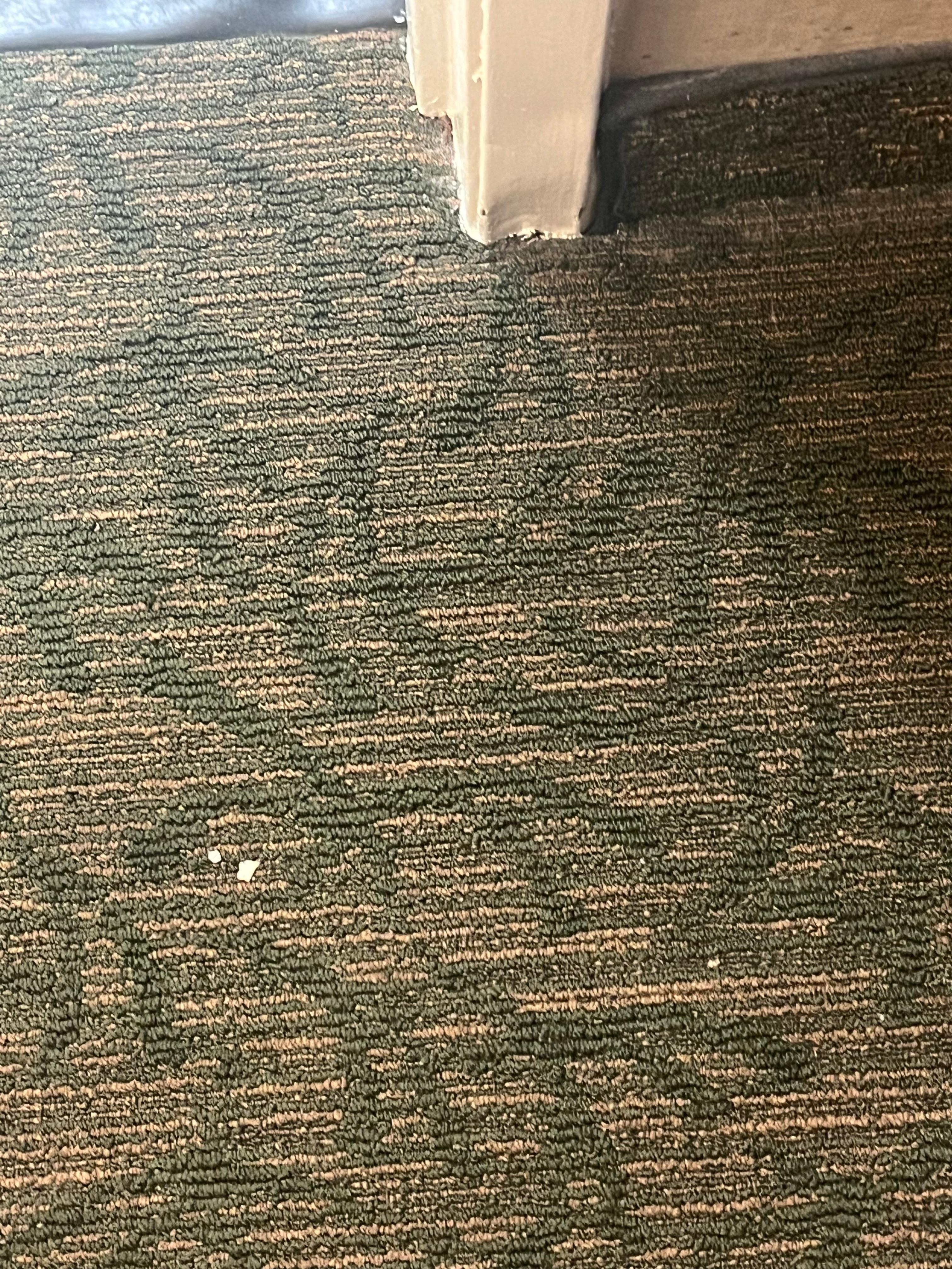 Floor not cleaned. Chairs not cleaned 