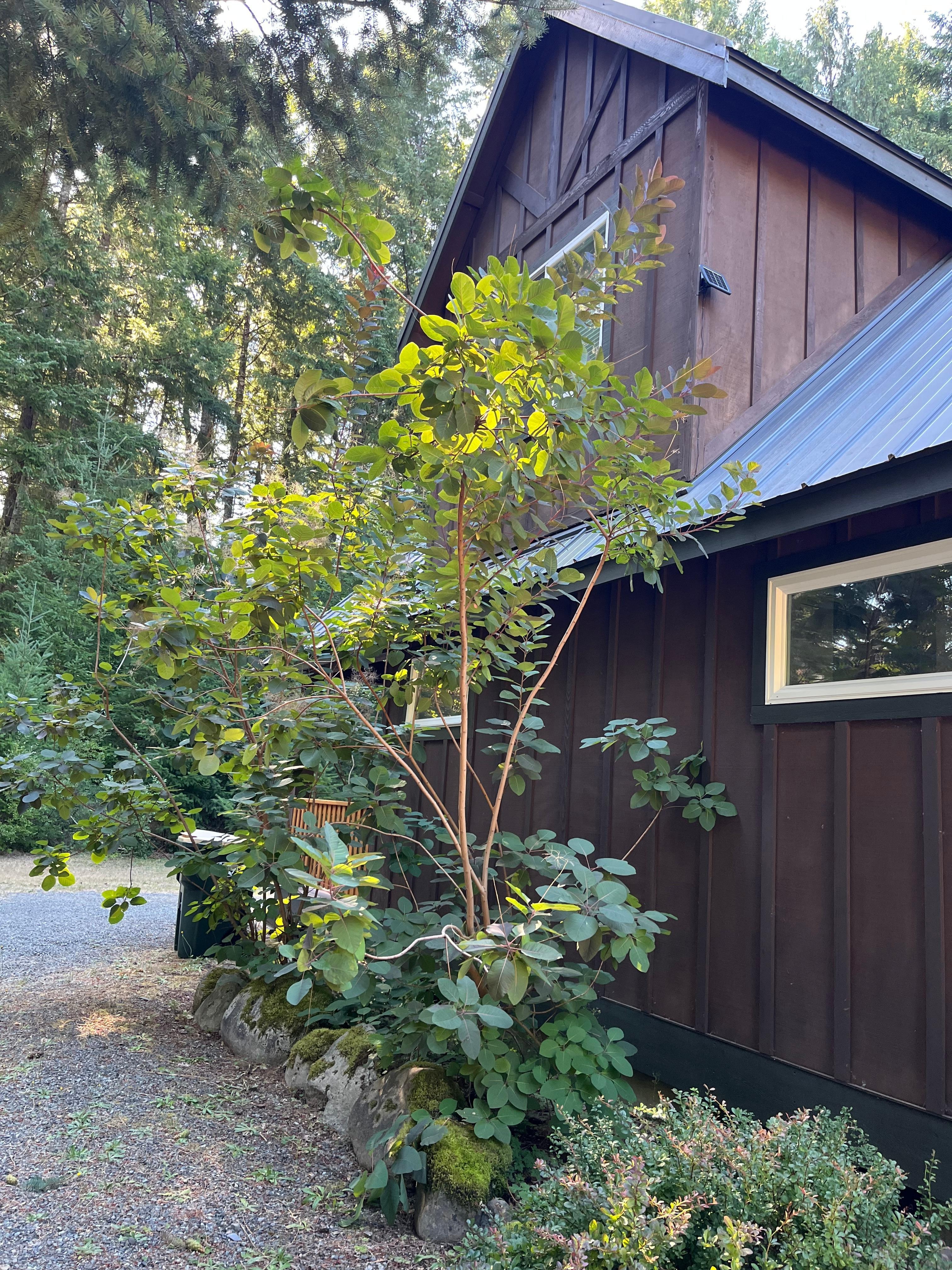 Lovely private location 