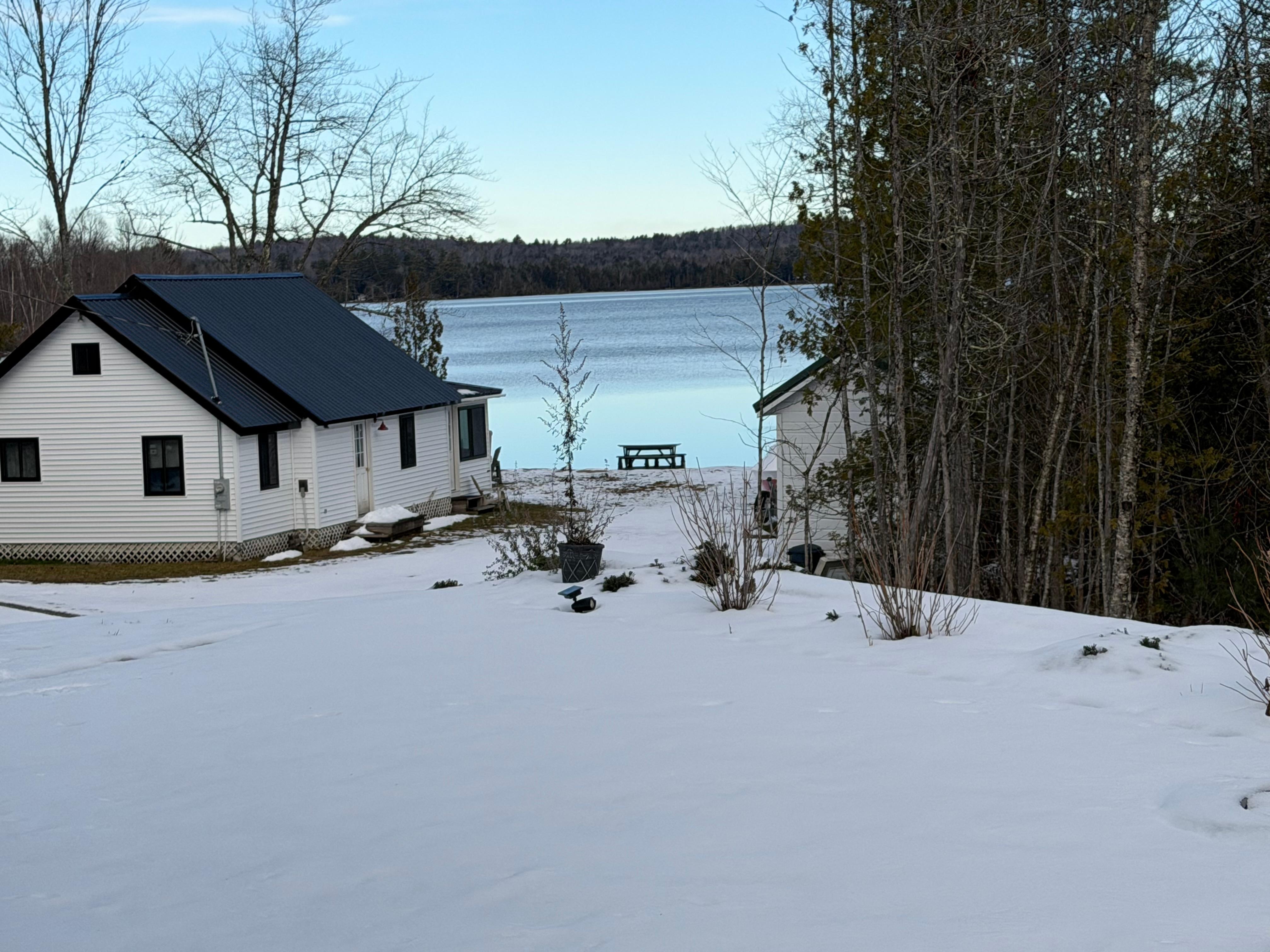 View from the living room 