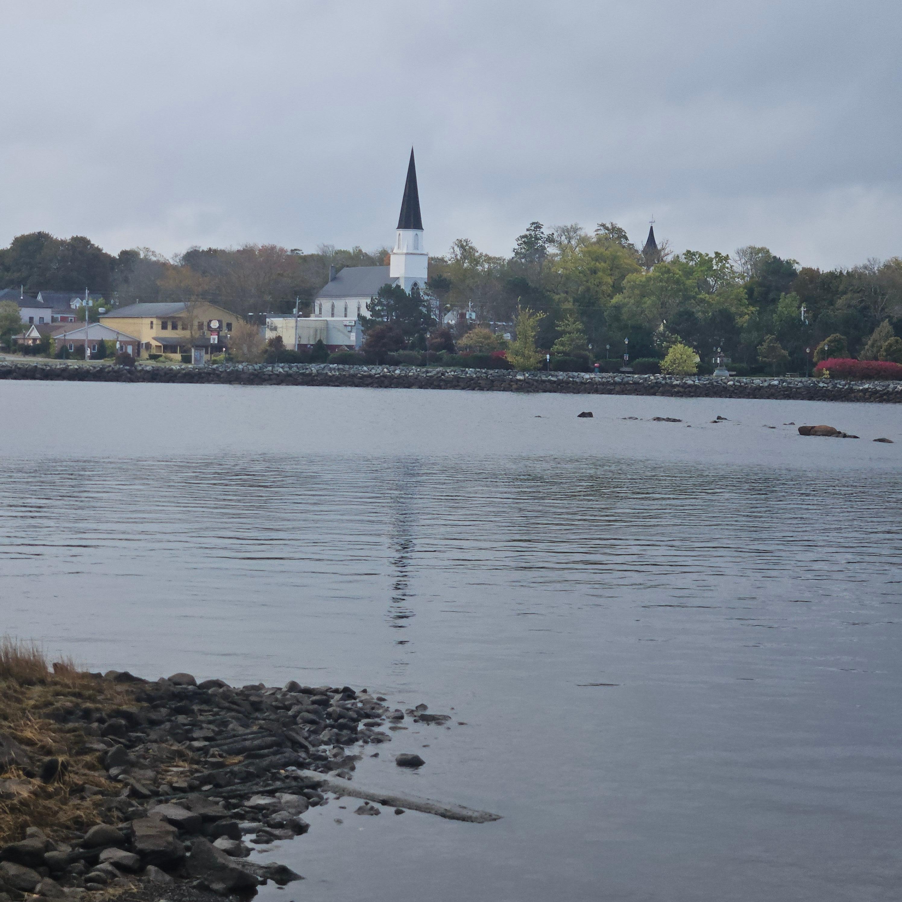View from outside our room. Saw a handful of seals playing in the water