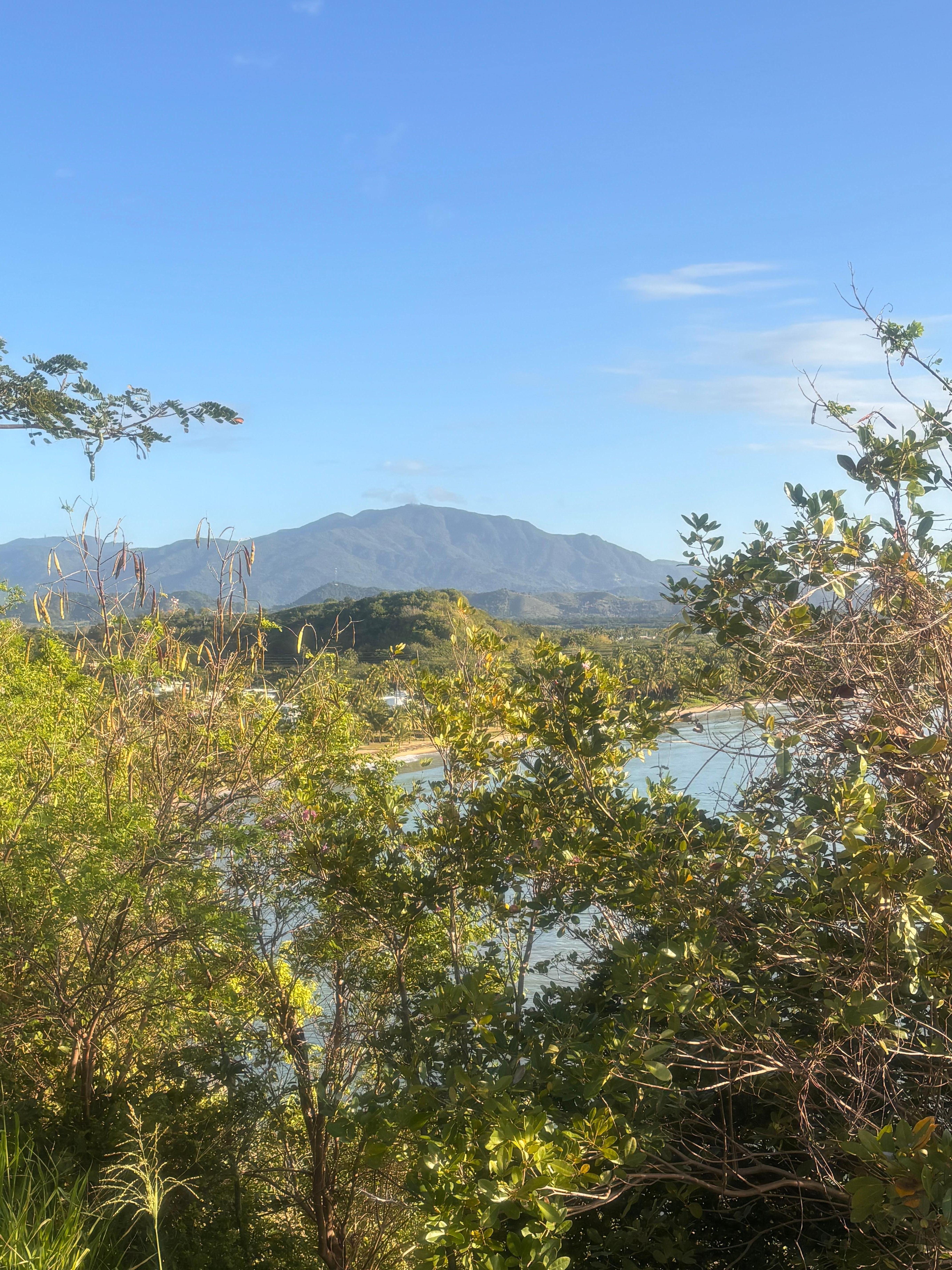 View from El Morrillo, a 10 minute walk from the house
