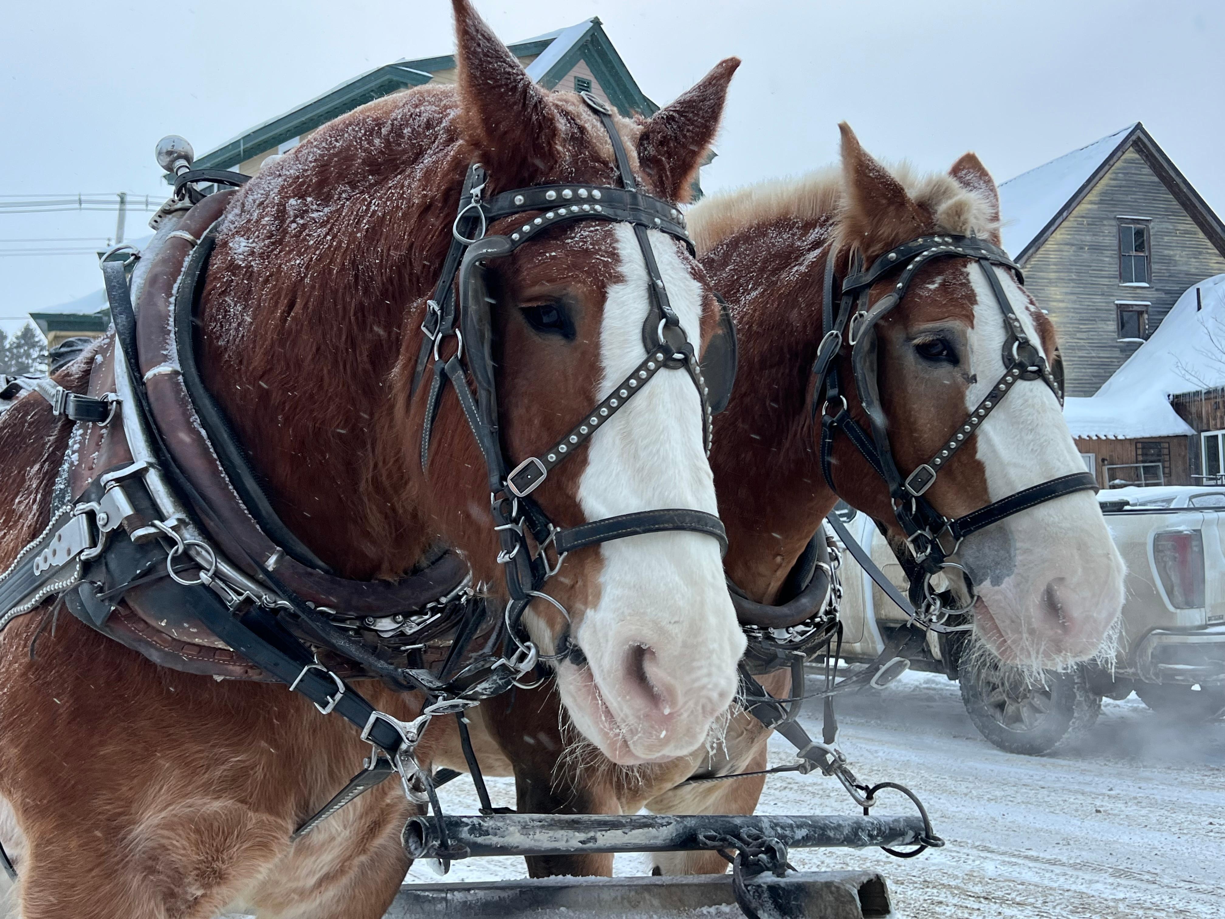 Surprised to see this team across the street! 