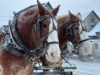 Surprised to see this team across the street!