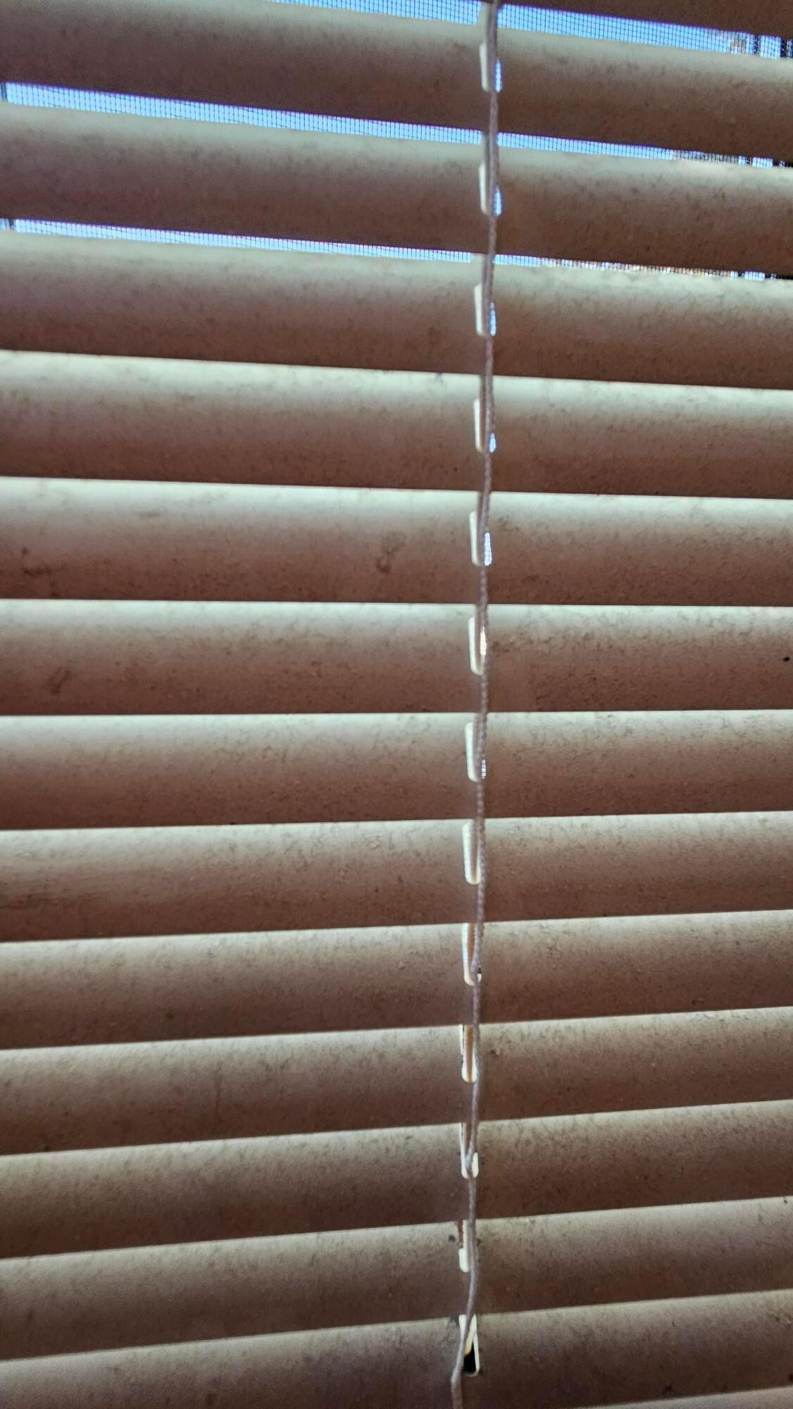 (Dirty blinds in bathroom)