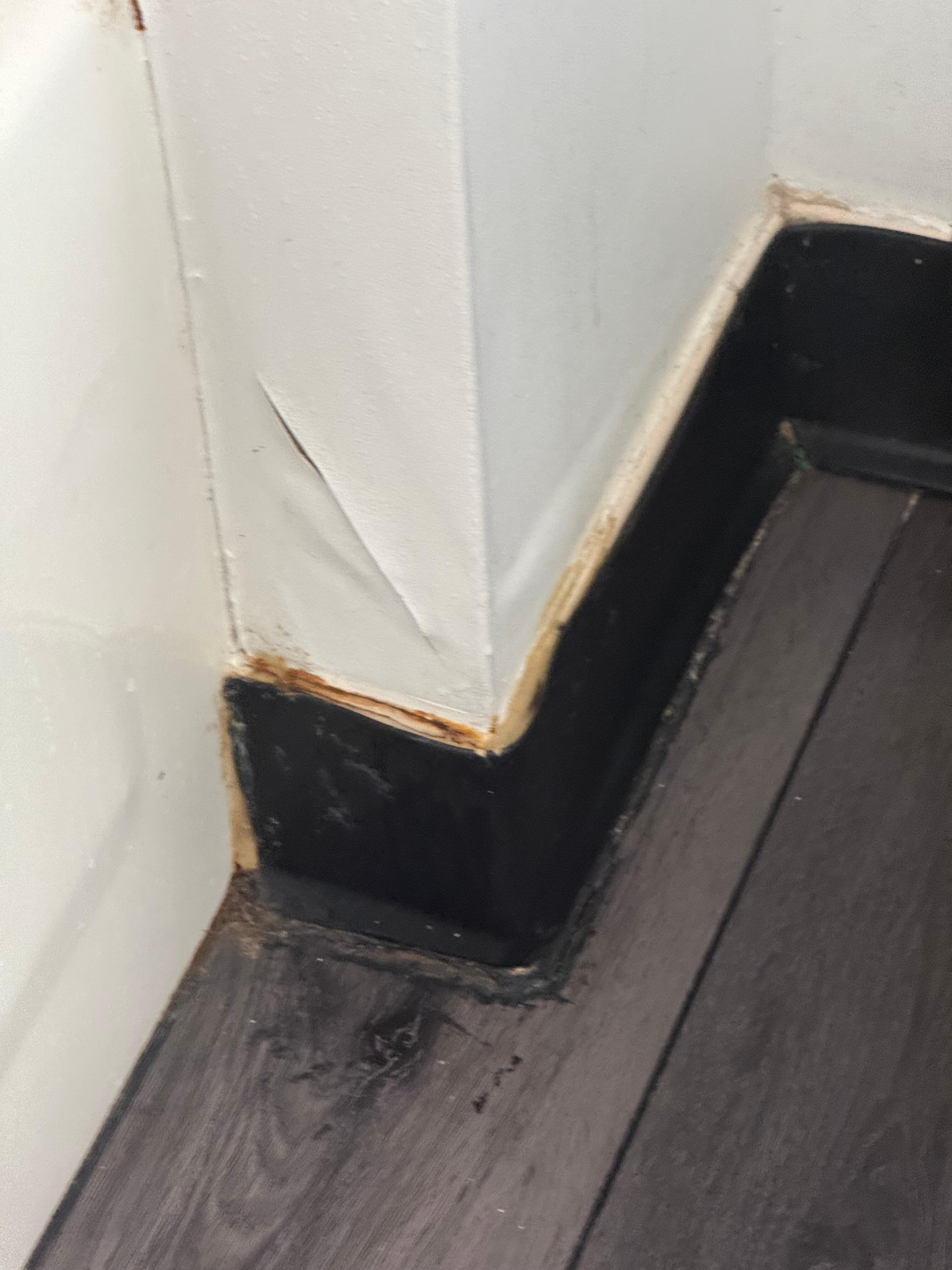 Mold, dirt, rotten