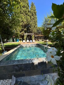 Garden and pool