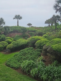 View from balcony.
