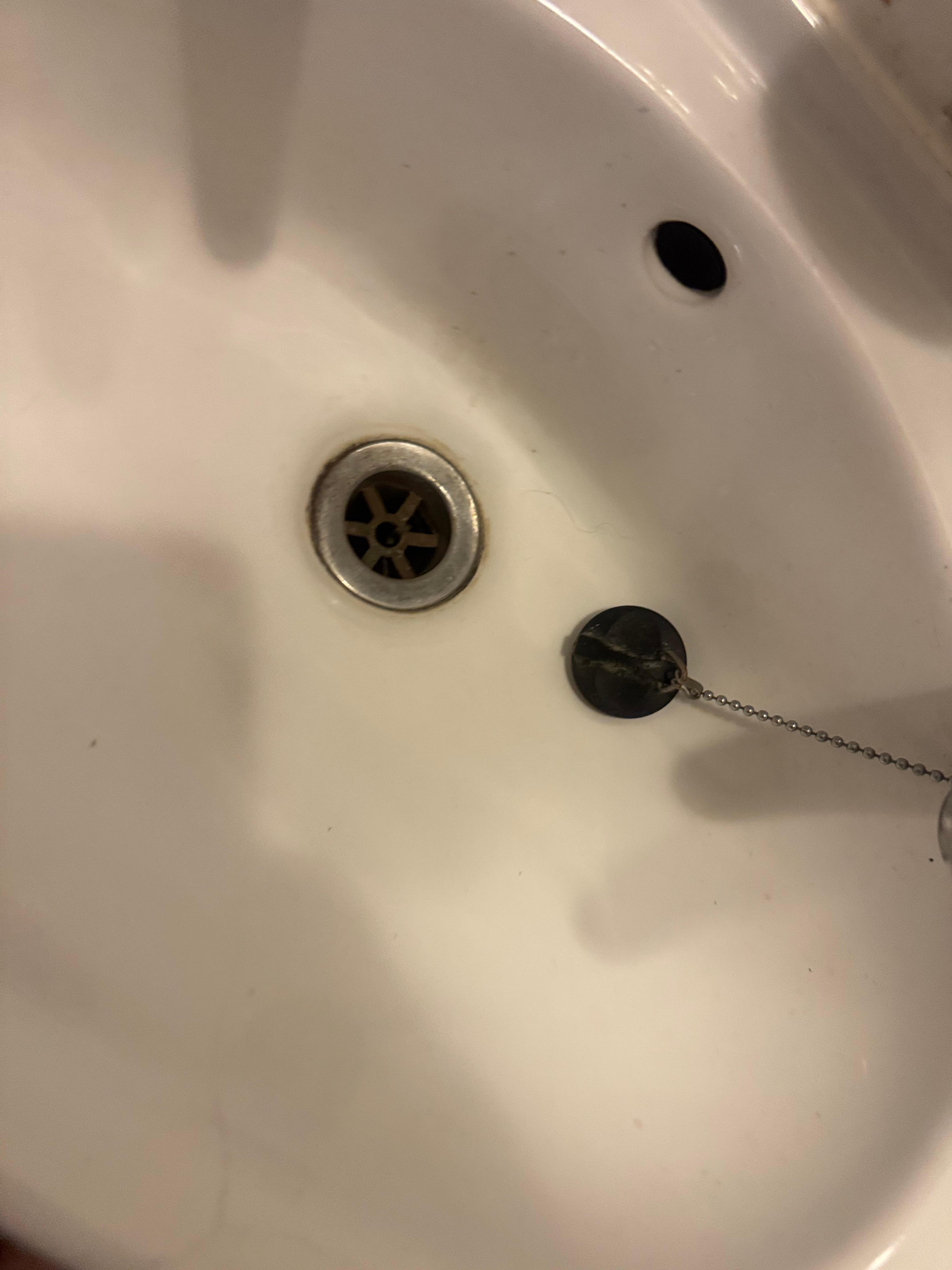 Pubic hair in sink