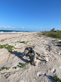 Secluded beach