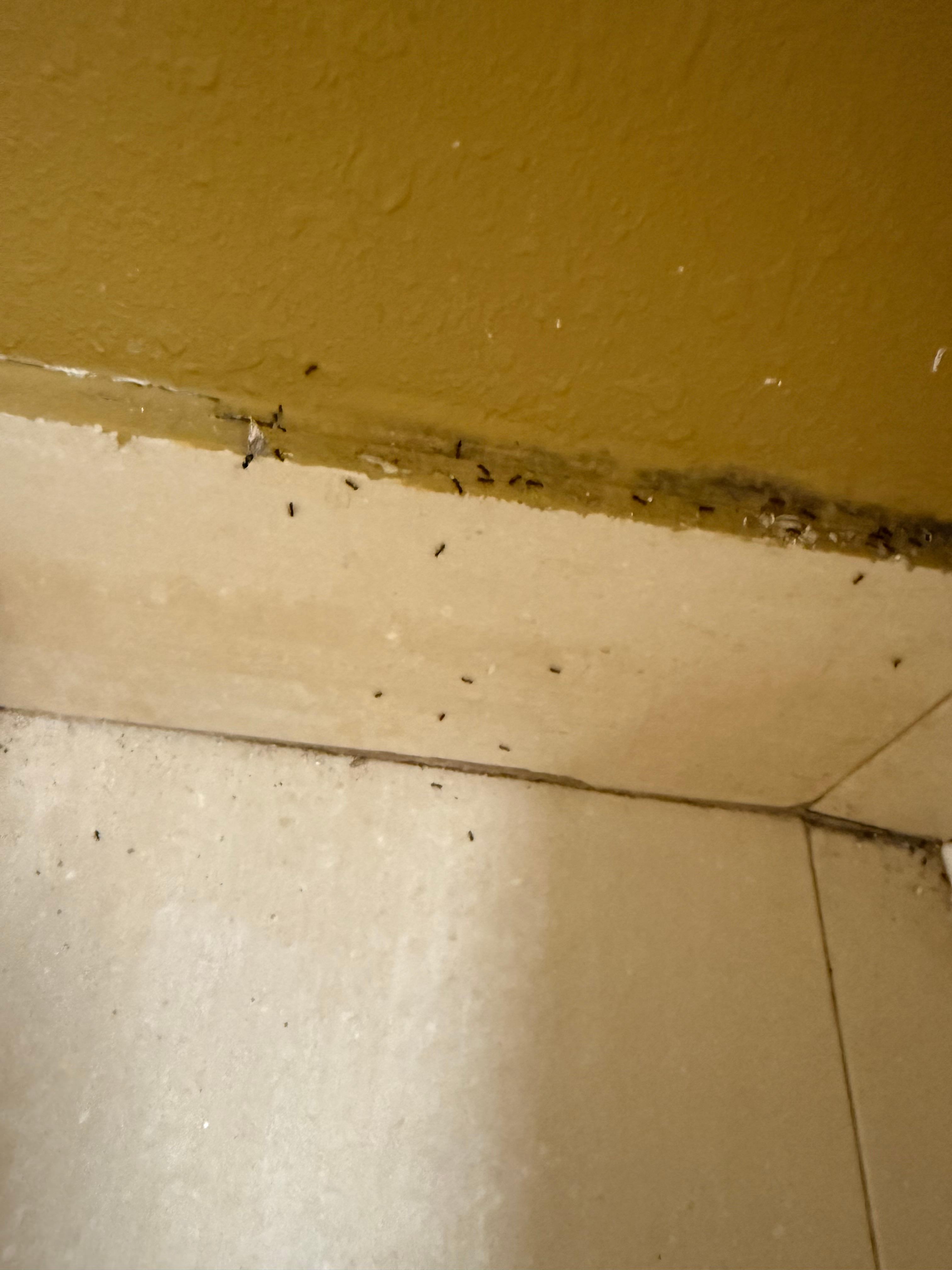 Zoom in and you’ll see what was crawling on me before I noticed them.