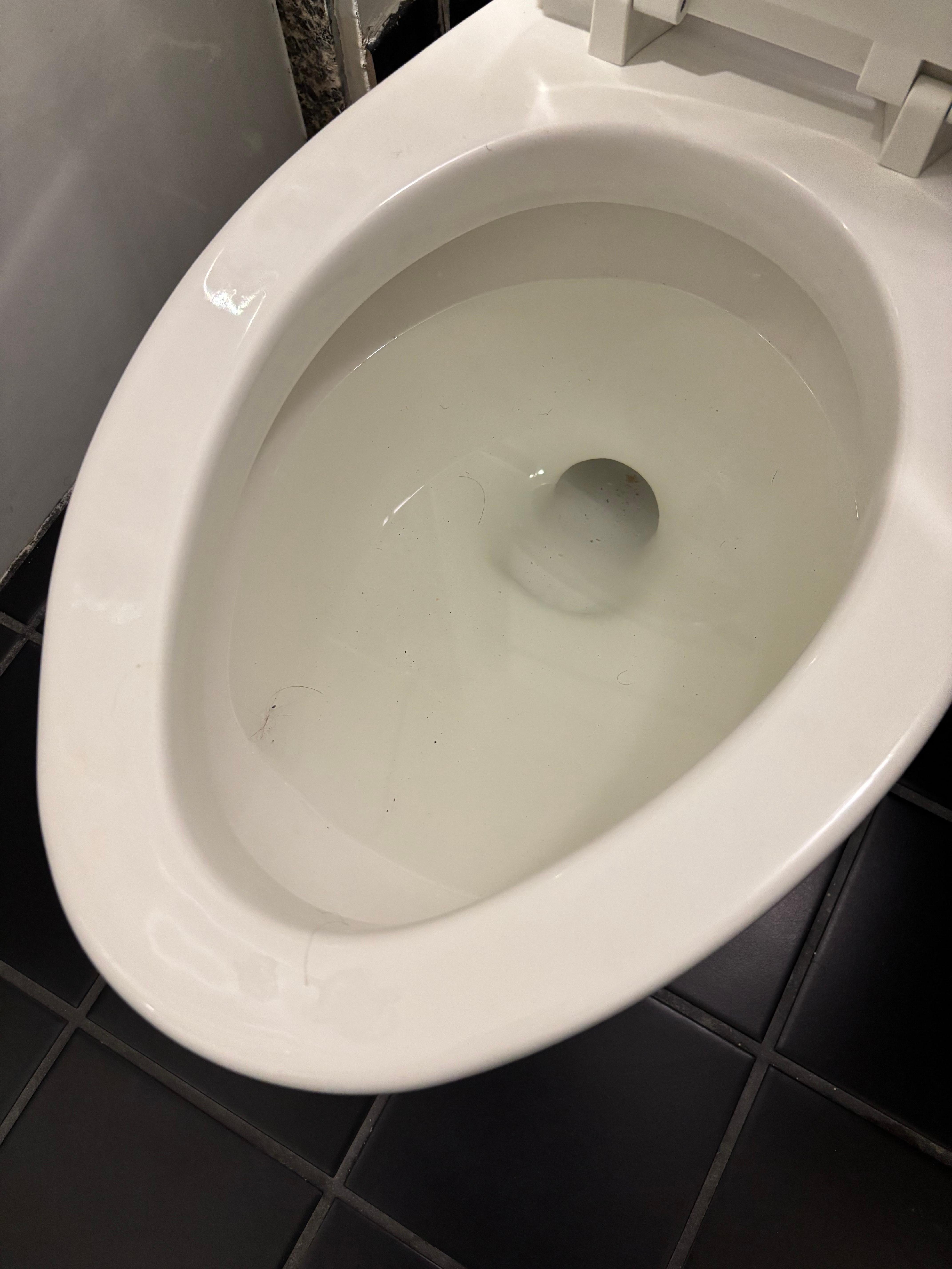 This was the cleaner toilet. I neglected to take a photo of the first.